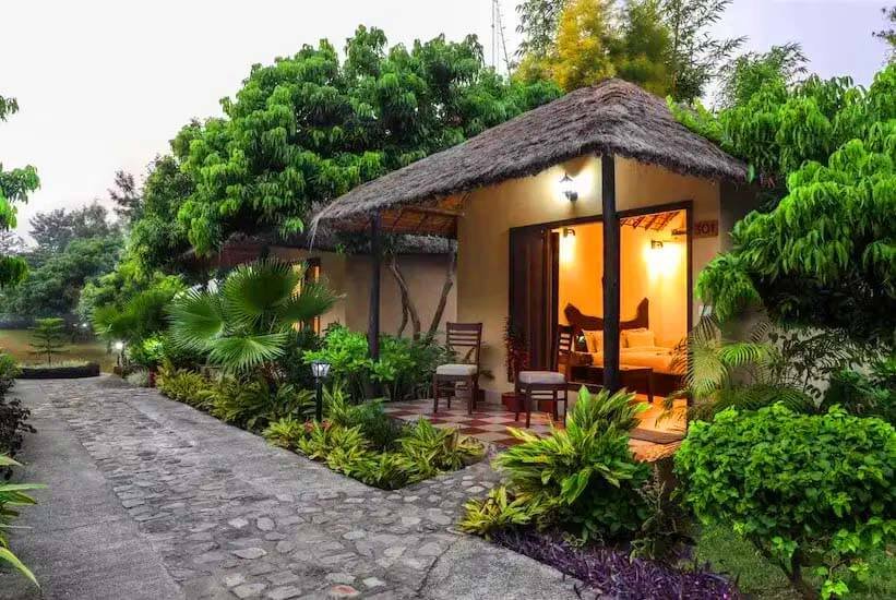 . Tigers n Trees Resort View